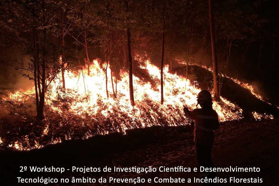 capa 2º workshop mcfire